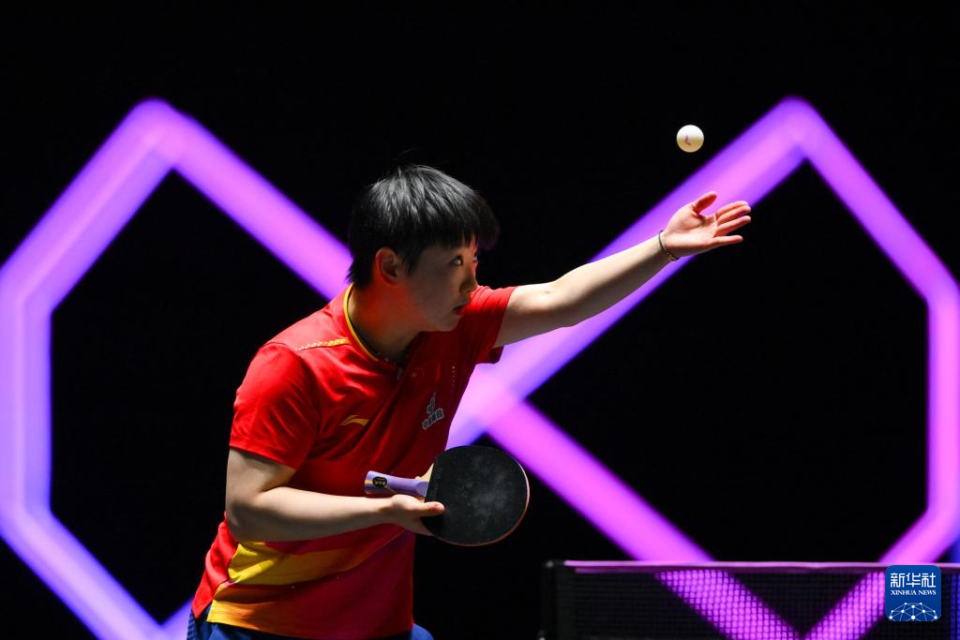 国乒克星, 国乒占据, 国乒男单首